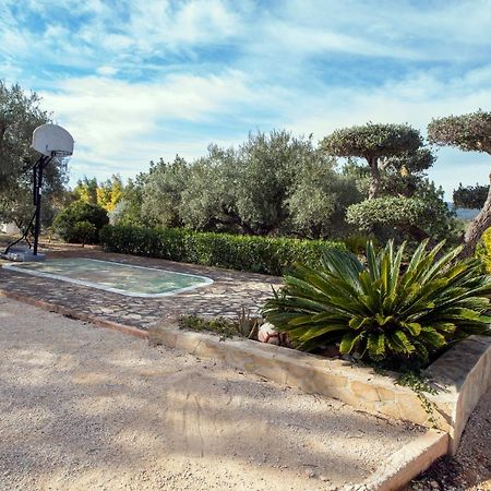 Finca Tierra Roja Cálig المظهر الخارجي الصورة