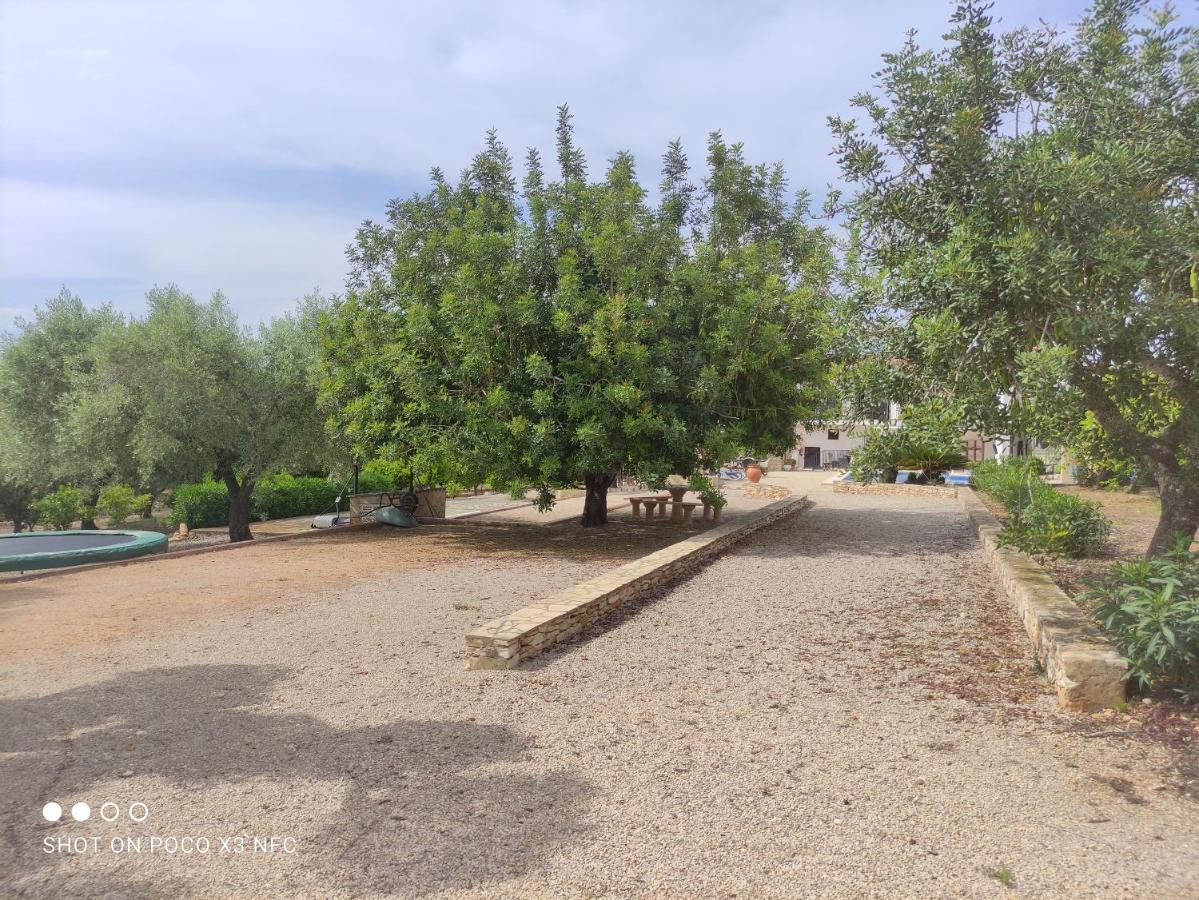Finca Tierra Roja Cálig المظهر الخارجي الصورة
