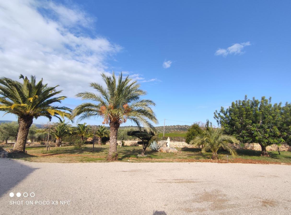 Finca Tierra Roja Cálig المظهر الخارجي الصورة